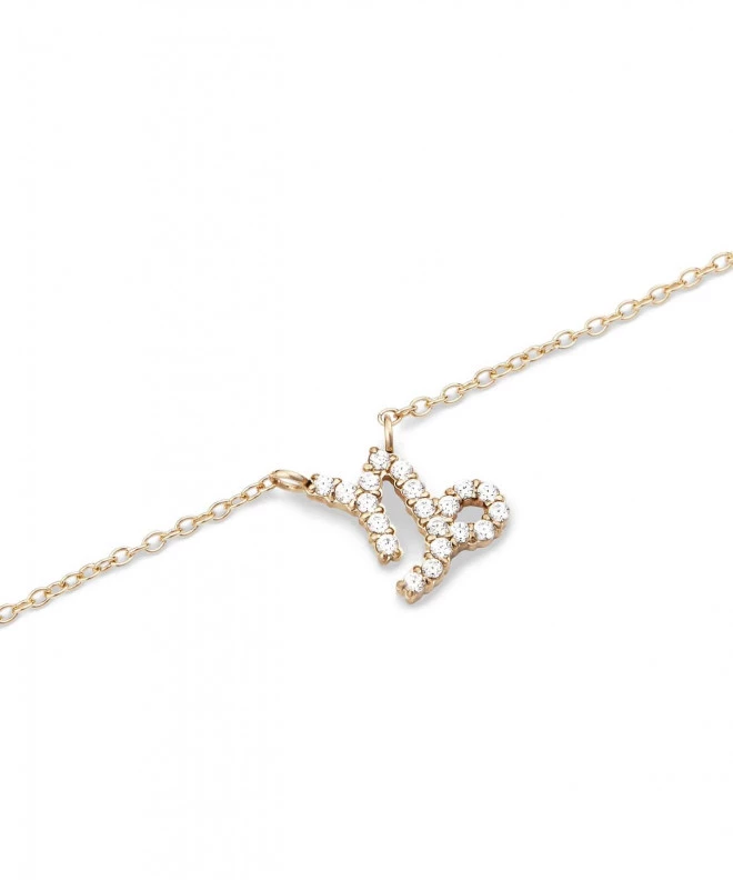 Daniel Wellington Crystal Zodiac Chain Gold Capricorn nyaklánc DW00400928