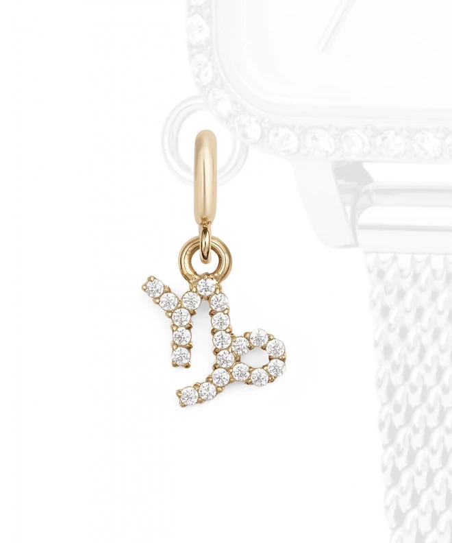 Daniel Wellington Charm Gold Capricorn medál DW01500010