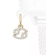 Daniel Wellington Charm Gold Cancer medál