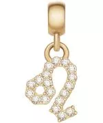 Daniel Wellington Charm Gold Leo medál