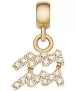 Daniel Wellington Charm Gold Aquarius medál