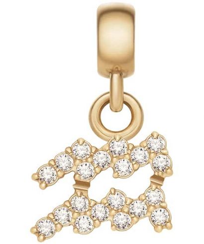 Daniel Wellington Charm Gold Aquarius medál