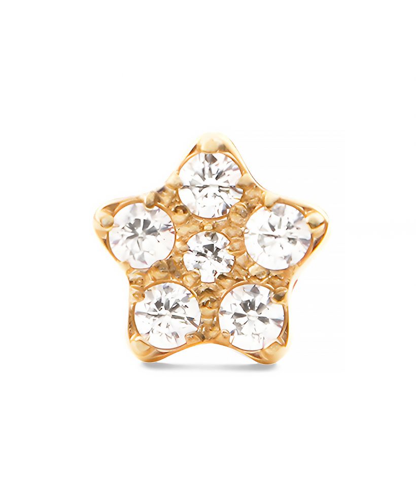 Daniel Wellington Crystal Star Stud Gold fülbevaló