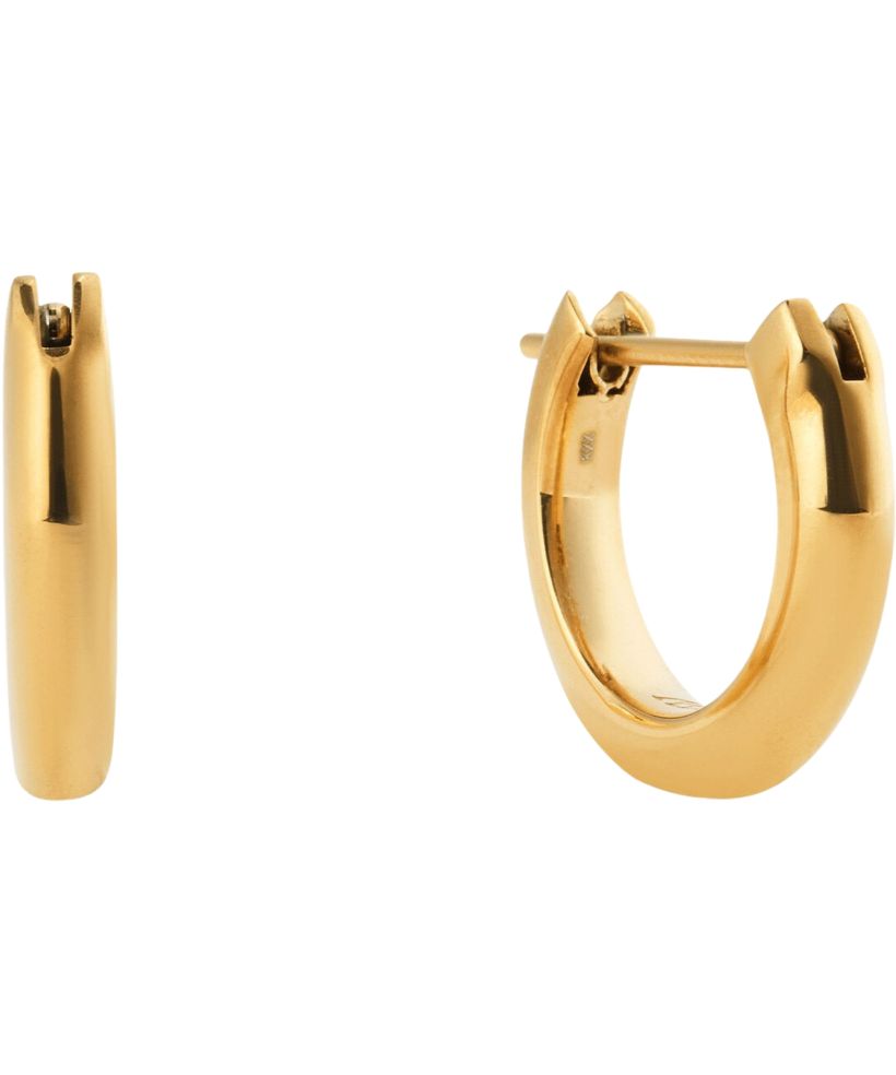 Daniel Wellington Arch Gold Fülbevaló