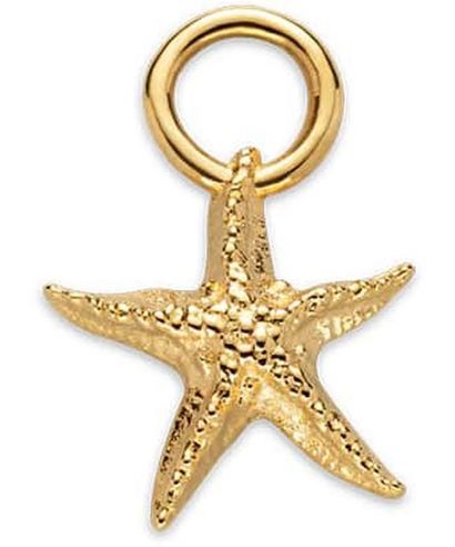 Paul Hewitt Set Starfish Charm and Necklace Gold nyaklánc