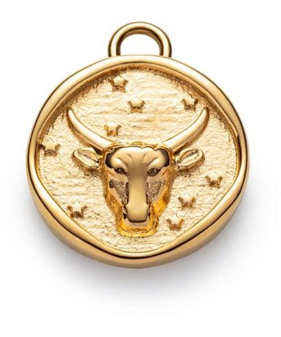Paul Hewitt Taurus Charm Gold medál