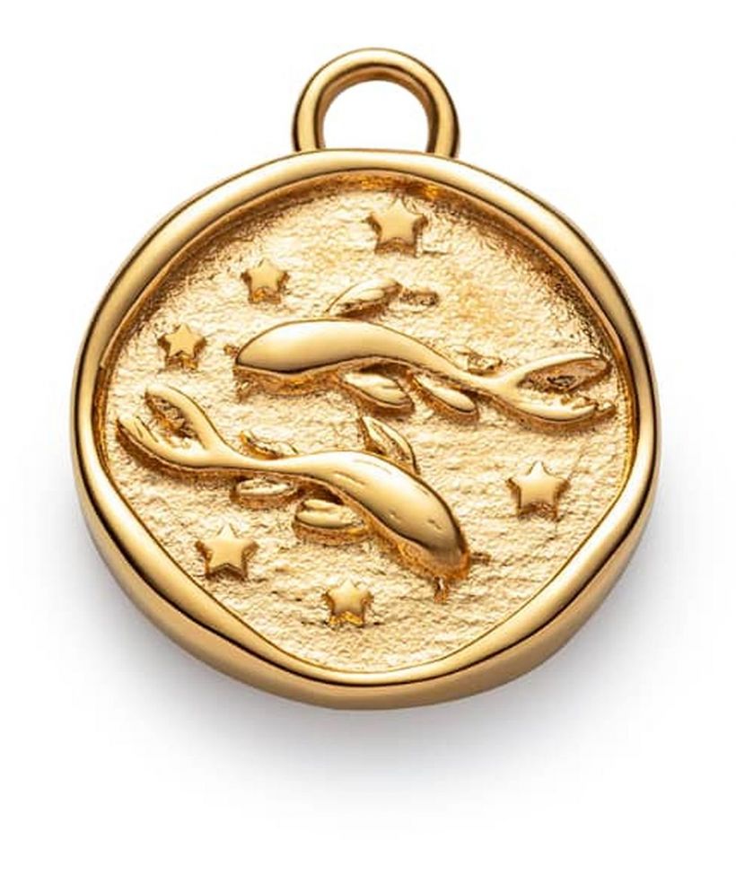 Paul Hewitt Pisces medál